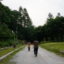 청송자연휴양림 이미지