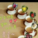 환영농장 이미지