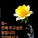 오래도록예쁘게 이미지