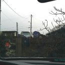 섬집오후 이미지