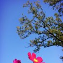 아름다운 이미지