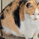 오월의 그루밍 이미지