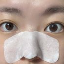 화수육계 이미지