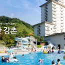 엘리시안강촌수영장 이미지