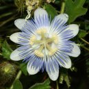 반포삼정공인중개사사무소 이미지