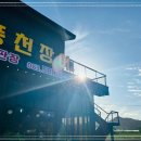 금빛장어 이미지