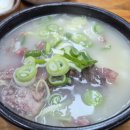 소머리국밥 티스토리