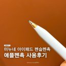 미누네 | 미누네 아이패드 애플펜슬 펜촉 찐 사용후기