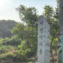 곤이 농장 | 안산 선부동 대쟁이 마을 한식 점심 맛집 새로 오픈한 칼국수 “토담옥” ft. 알곤이 칼국수와 감자전
