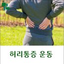 본정형운동
