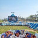 승리WIN 태권도 | 230401 라이온즈파크 SKY자유석 (NC vs 삼성) 8:0 패