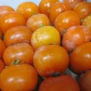 반시홍시 이미지