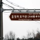 홍정희효자문 이미지