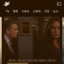 쿠팡플레이 &lt;로앤오더: 성범죄 전담반 시즌 21, 22&gt; 시청 후기