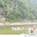 봉화태권도장 이미지