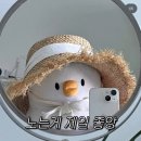 8월 네번째 일상: 흠뻑쇼 후기들려준다아 💦💧