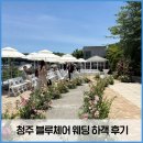 블루체어 | 청주 스몰 웨딩, 블루체어 카페에서 결혼식 하객 후기!