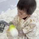 보라매동-9 이미지