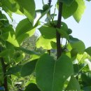 죽암농장 이미지