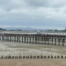 무안황토갯벌랜드 기타 | 무안 황토갯벌랜드 / 조금나루 해수욕장 후기