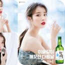보그유통 이미지