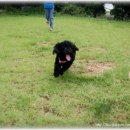 배다리 박물관 이미지