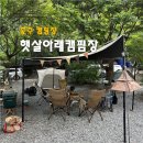 두원농장 | 충주 햇살아래캠핑장 그늘이 좋았던 A3, A4, A5 이용 후기
