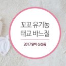 꼬꼬닷컴 네이버블로그