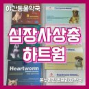 광진프라자약국