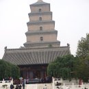 화산여행사