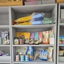 데스티니 퍼피 이미지