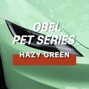 부천랩핑 테슬라 랩핑 OBEL HAZY GREEN 헤이지 그린 전체랩핑 후기