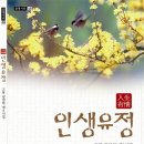 김연하