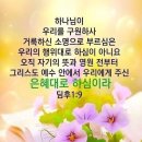 IMA: 끝까지 읽어보세요. 2026.08.12.수 이미지