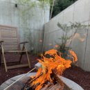 스테이 숲 이미지