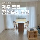 섬에 머물다 이미지