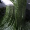 은혜떡집 이미지