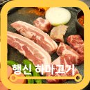행신 삼겹살 맛집 하마고기 떡볶이 김치찌개 무료 사이드메뉴