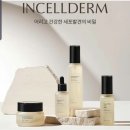 인셀덤 - 울주군 대리로 98 | 인셀덤