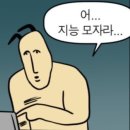 꽁꽁 얼어붙은 한강 위로 고양이가 걸어다닙니다
