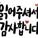 우리지뜨 이미지