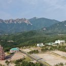 엑스포길 이미지