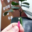 양우종한의원 이미지