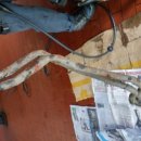 보쉬 마이카 1004 이미지