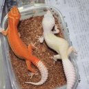 와이엔케이 네이버블로그