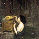 판도라의 숲 이미지