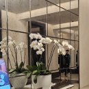 (주)조선호텔앤리조트 조선팰리스강남 | 강남 중식당 추천 | 조선 팰리스 <더 그레이트 홍연> 베이징덕 | 단품 메뉴 솔직 후기 | 식당 정보