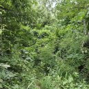 오금상촌공원 화장실 이미지