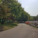 땅나라공인중개사사무소 이미지