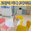 제이캣 이미지